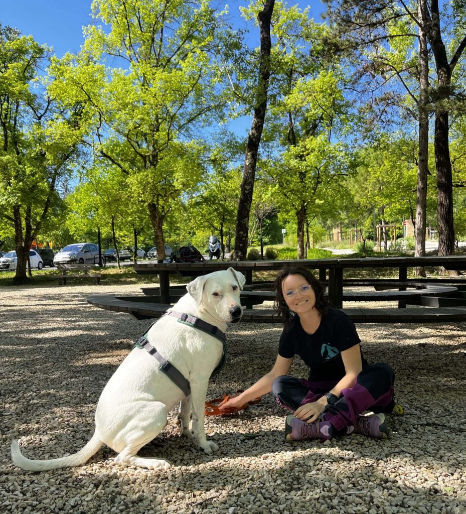 Éducateur canin à Alès accompagnant un chien réactif